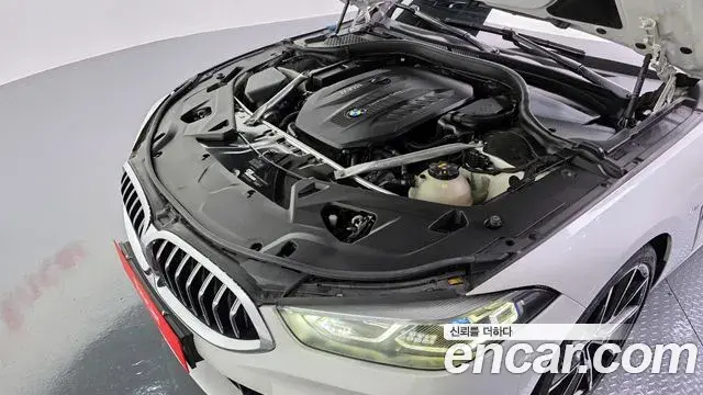 BMW 8 Series 2020 — ფოტო 19/20