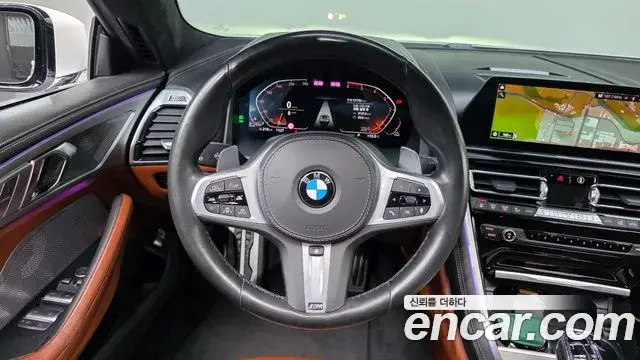 BMW 8 Series 2020 — ფოტო 11/20