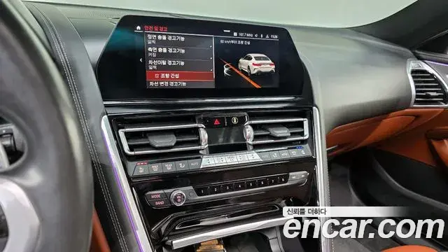 BMW 8 Series 2020 — ფოტო 14/20