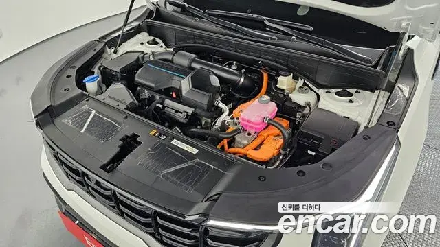 Kia Sorento 2023 — Şəkil 6/20
