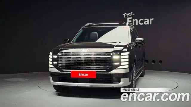 Hyundai Palisade 2025 — ფოტო 10/32