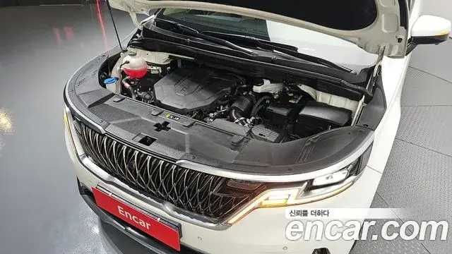 Kia Carnival 2021 — Фото 6/20