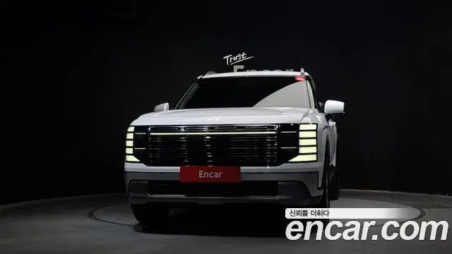 Hyundai Palisade 2025 — ფოტო 14/20