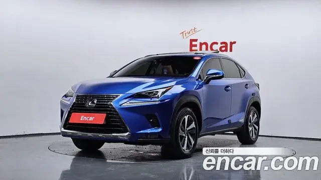 Lexus NX300h 2019 — Şəkil 6/33