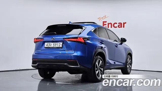 Lexus NX300h 2019 — Şəkil 1/33