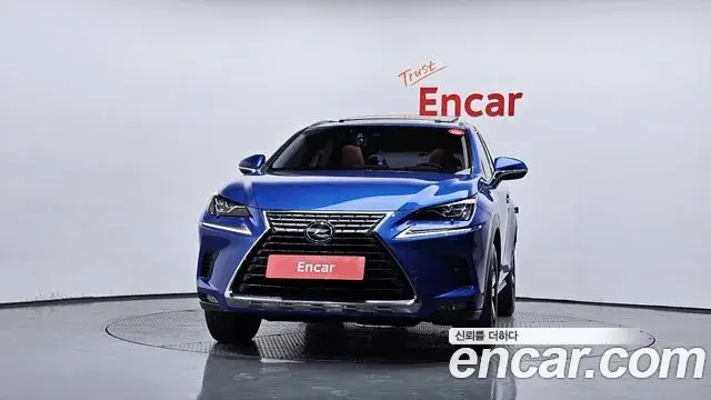 Lexus NX300h 2019 — Şəkil 12/33