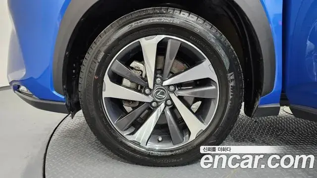 Lexus NX300h 2019 — Şəkil 20/33