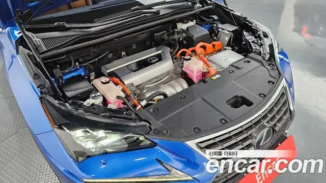 Lexus NX300h 2019 — Şəkil 23/33