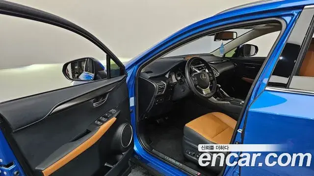 Lexus NX300h 2019 — Şəkil 13/33