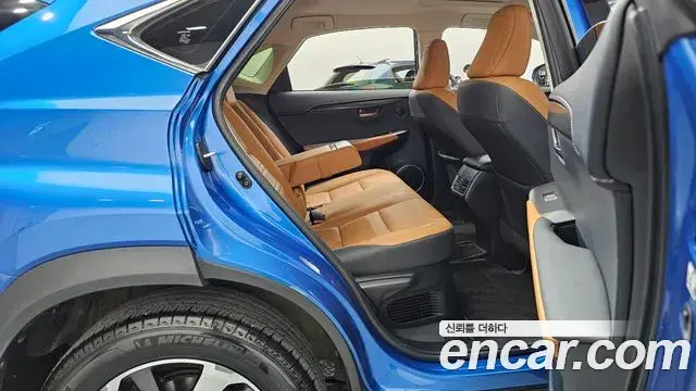 Lexus NX300h 2019 — Şəkil 7/33