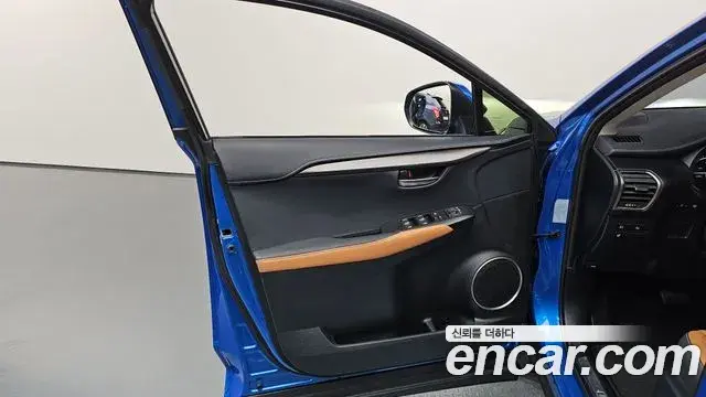 Lexus NX300h 2019 — Şəkil 8/33