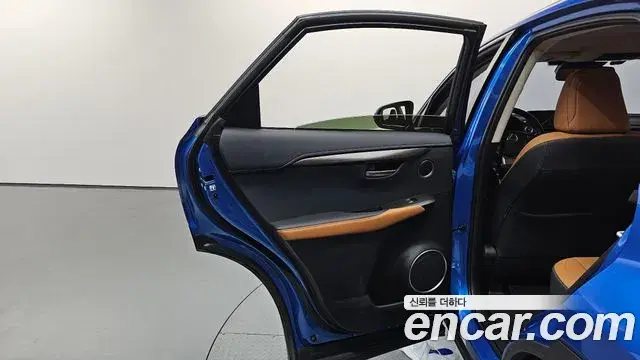 Lexus NX300h 2019 — Şəkil 22/33