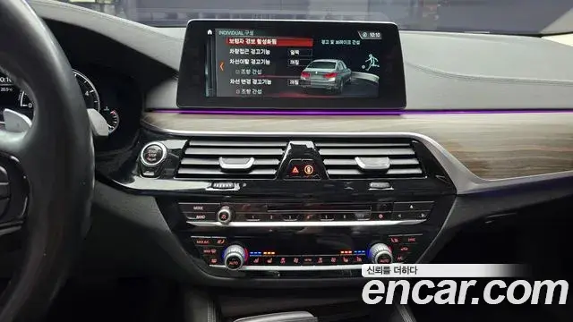 BMW 5 Series 2018 — ფოტო 10/32