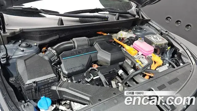 Kia Sportage 2021 — Фото 6/20