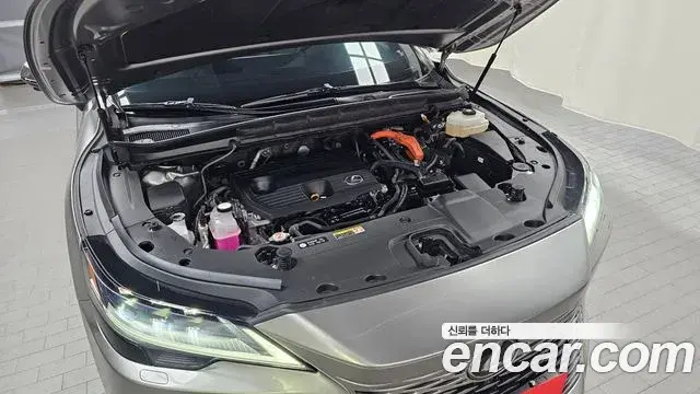 Lexus RX350h 2023 — Photo 18/31