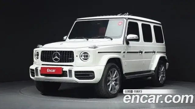 Mercedes-Benz G-Class 2020 — Photo 12/20