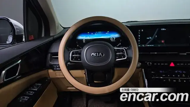 Kia Carnival 2021 — Фото 12/20