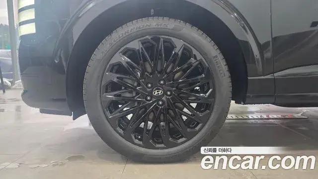 Hyundai Palisade 2025 — ფოტო 14/20
