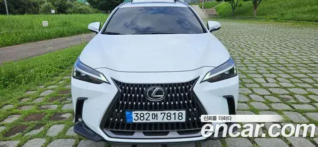 Lexus NX350h 2026 — Фото 10/20