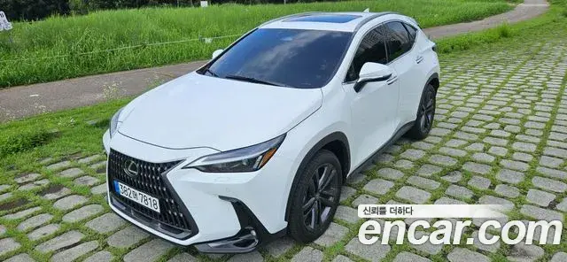 Lexus NX350h 2026 — Фото 1/20