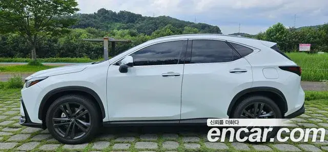Lexus NX350h 2026 — Фото 2/20