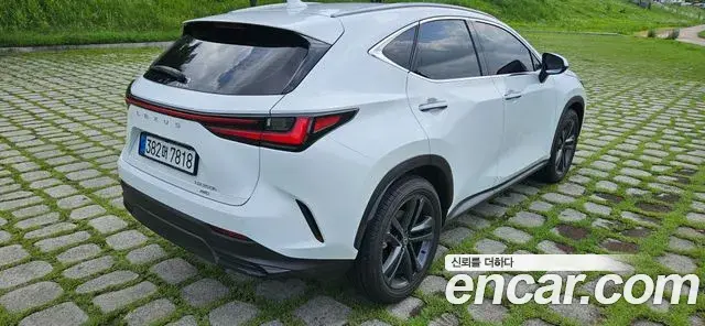 Lexus NX350h 2026 — Фото 5/20