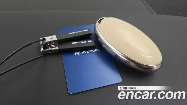 Hyundai Santa Fe 2024 — ფოტო 28/42