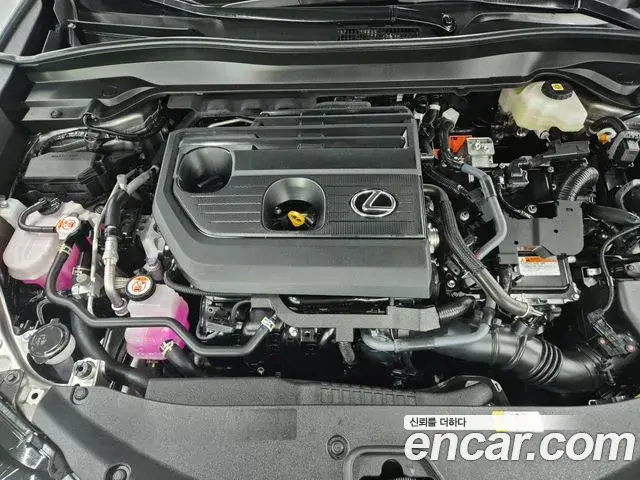 Lexus UX300h 2025 — Şəkil 5/19