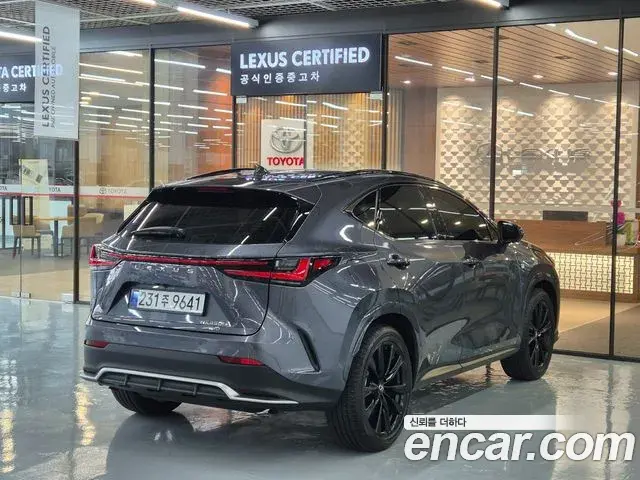 Lexus NX450h+ 2025 — Photo 10/20