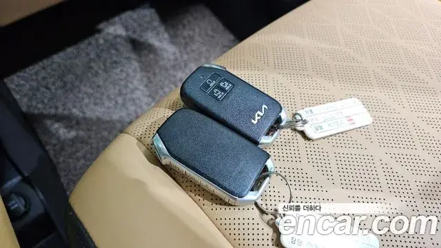 Kia Carnival 2021 — Photo 13/20