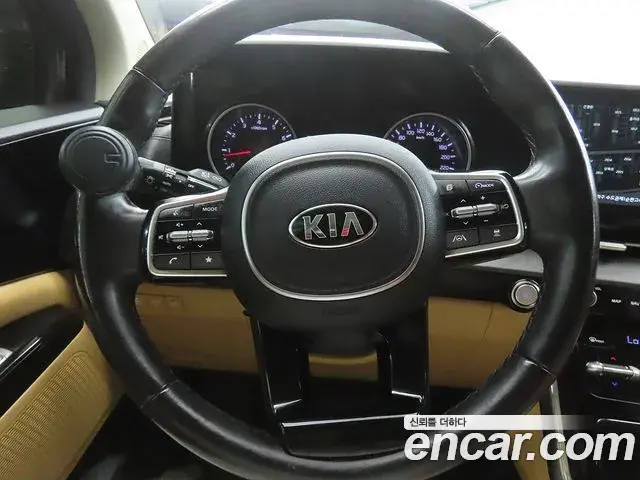 Kia Carnival 2021 — Фото 6/20