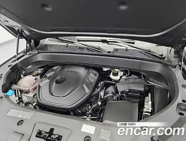 Renault Samsung Grand Koleos 2025 — Photo 6/19