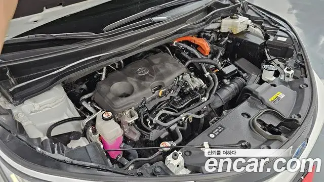 Toyota Sienna 2021 — ფოტო 4/36