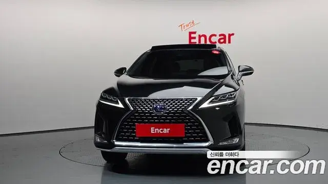 Lexus RX450h 2021 — Şəkil 10/20