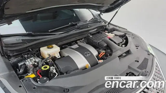 Lexus RX450h 2021 — Şəkil 14/20