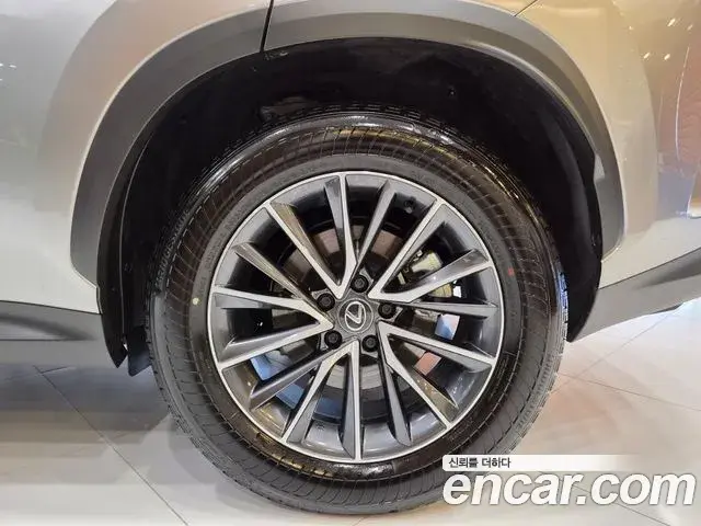 Lexus NX450h+ 2025 — Photo 14/15