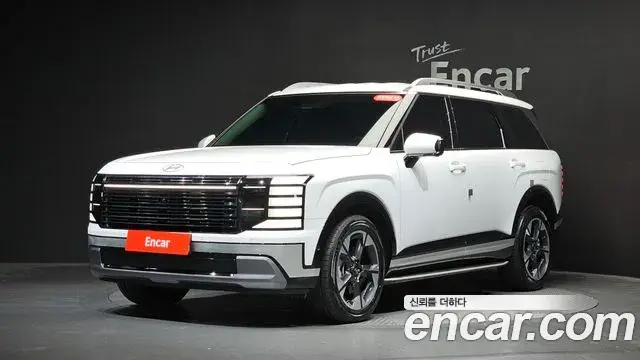 Hyundai Palisade 2025 — ფოტო 11/20
