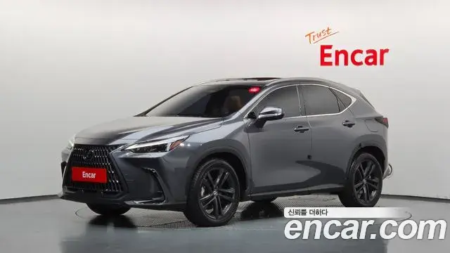 Lexus NX350h 2023 — Фото 10/20