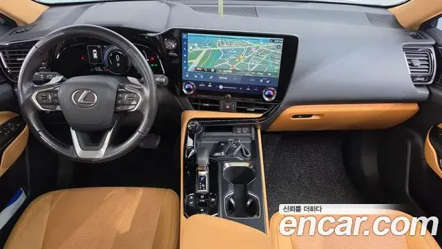 Lexus NX350h 2023 — Фото 6/20
