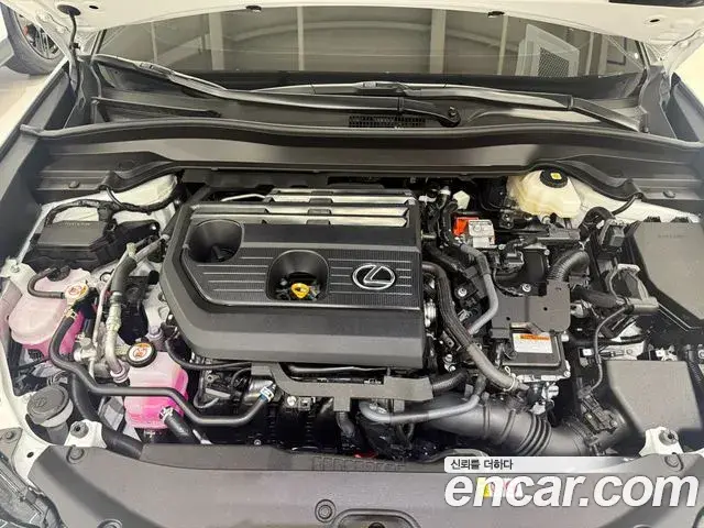 Lexus UX300h 2025 — Şəkil 5/13