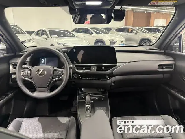 Lexus UX300h 2025 — Şəkil 6/13