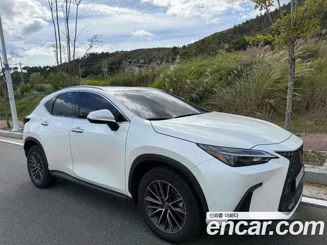 Lexus NX450h+ 2024 — Şəkil 8/8