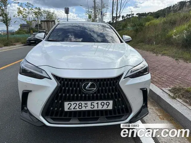 Lexus NX450h+ 2024 — Şəkil 1/8