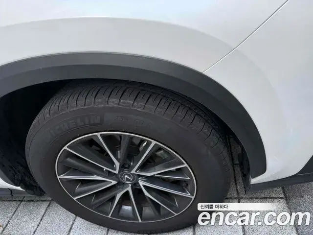 Lexus NX450h+ 2024 — Şəkil 2/8