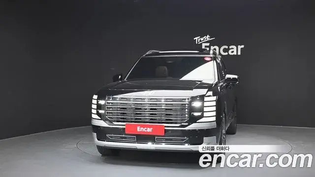 Hyundai Palisade 2025 — ფოტო 14/20