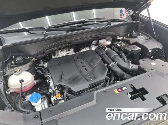 Hyundai Santa Fe 2024 — ფოტო 14/20