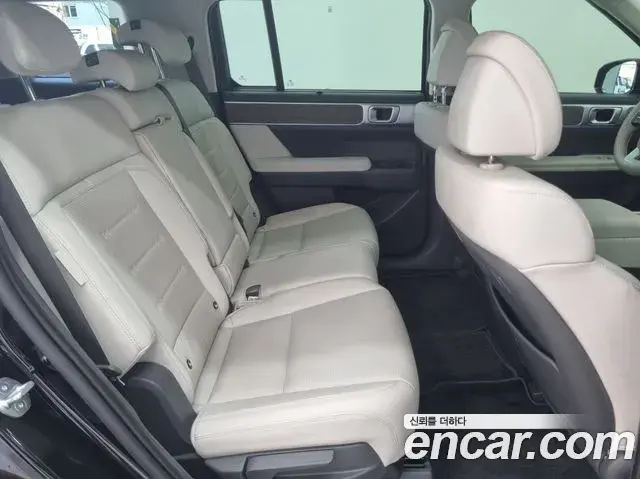 Hyundai Santa Fe 2024 — ფოტო 19/20
