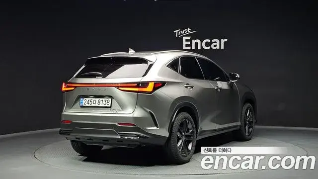 Lexus NX350h 2024 — Photo 9/20