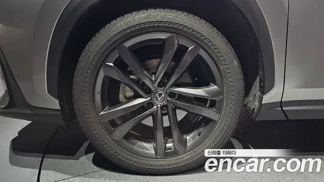 Lexus NX350h 2024 — Photo 15/20