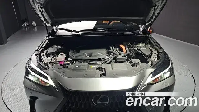 Lexus NX350h 2024 — Photo 16/20